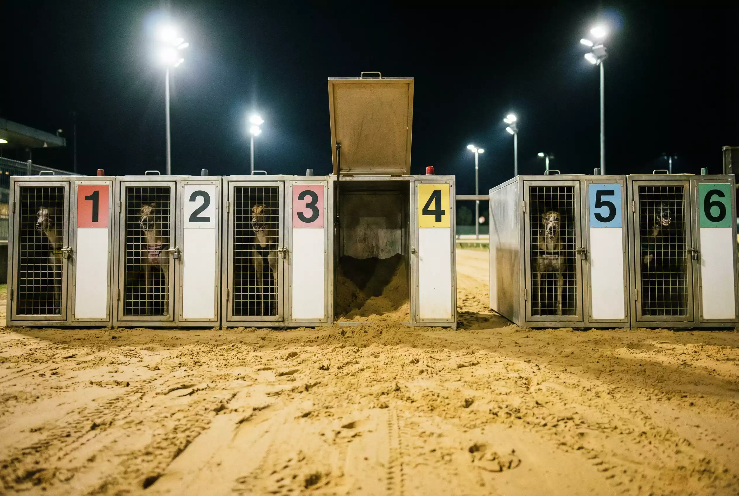 Rule 4 deductions in greyhound racing non-runner explained